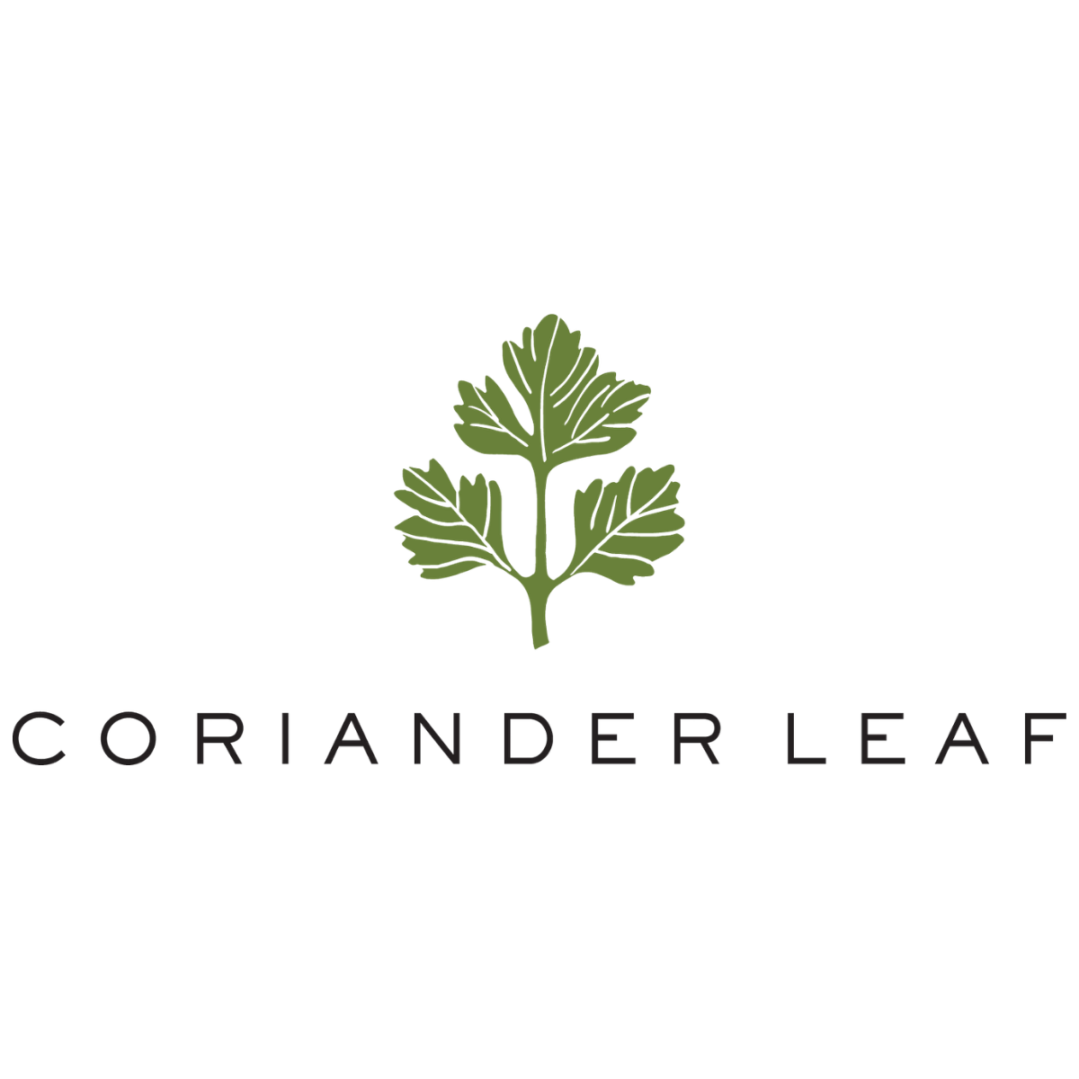 Coriander Leaf